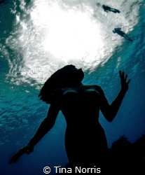 Mermaid looking upward to diver silhouettes by Tina Norris 
